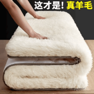Đệm Đệm giường đệm nhung cừu đệm mùa thu đông Đệm chăn đệm đệm đệm đệm đệm dày dặn mùa đông đơn giữ ấm đệm đệm len WSV4