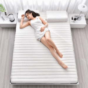 Đệm Giường Cao Su Ký Túc Xá Sinh Viên Dày Dặn Đệm Giường Đệm Đệm Đệm Đệm Đệm Sàn Nhà Cho Thuê Thảm Tatami1Gạo8×2Gạo