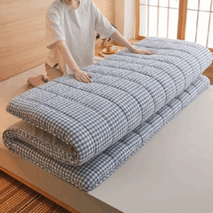 Đệm Đệm Bông Bông Giặt Nước Đệm Đệm Đệm Giường Gia Đình Đệm Đệm Chăn Đơn Đôi Cho Sinh Viên Ký Túc Xá Mùa Đông